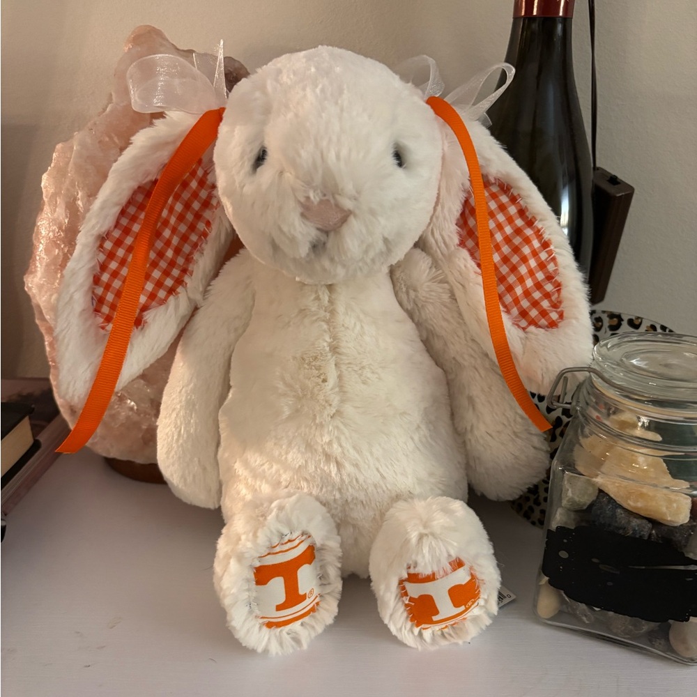 Handmade College Jellycat Bunniesπ§‘ - Picture 10 of 14